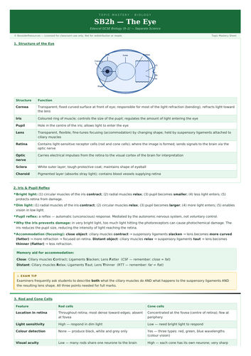SB2h The Eye | Edexcel GCSE Biology Topic Mastery Pack | Teaching Resources