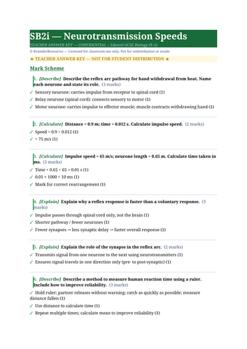 SB2i Neurotransmission Speeds | Edexcel GCSE Biology Topic Mastery Pack