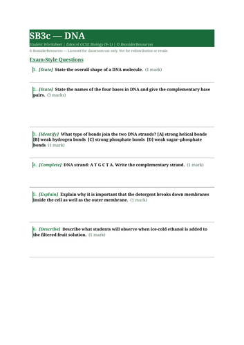 docx, 9.13 KB