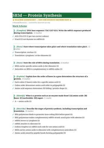 SB3d Protein Synthesis | Edexcel GCSE Biology Topic Mastery Pack