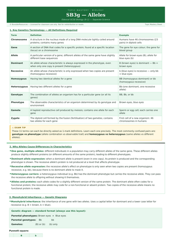 SB3g Alleles | Edexcel GCSE Biology Topic Mastery Pack