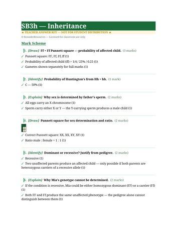 docx, 9.6 KB