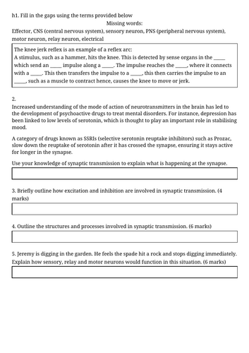 docx, 8.03 KB