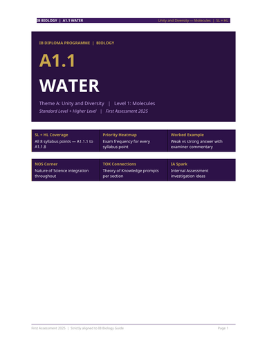 docx, 46.18 KB