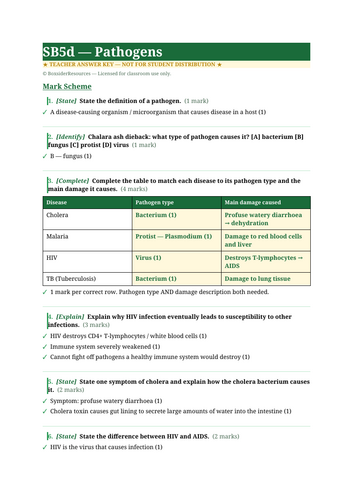 docx, 9.84 KB