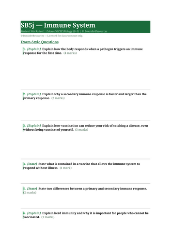 docx, 9.1 KB