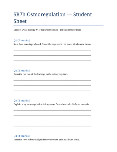 docx, 36.17 KB