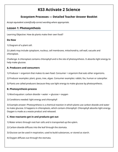 docx, 25.67 KB