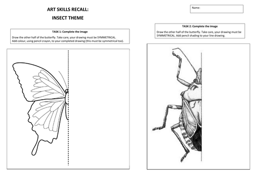 Art and Design - Cover Worksheets/Skills Recapping. Insects theme ...