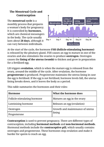 docx, 26.32 KB