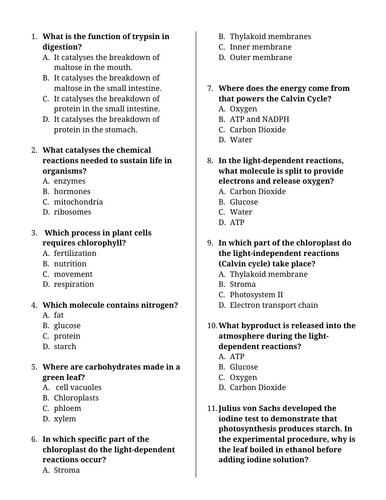 docx, 356.13 KB