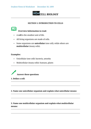 docx, 229.22 KB