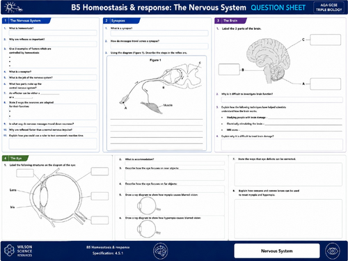 AQA GCSE Biology Paper 2: B5 Homeostasis and Response: Revision Mats ...