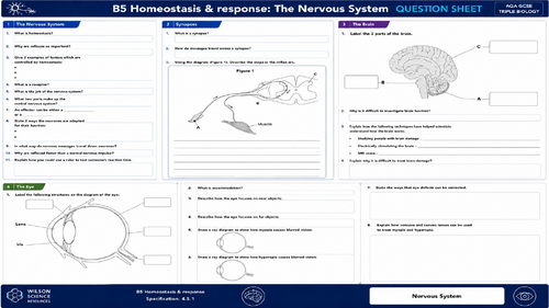 AQA GCSE Biology Paper 2: B5 Homeostasis and Response: Revision Mats ...