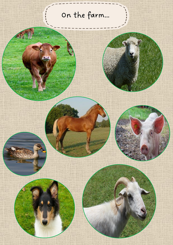 pdf, 518.56 KB