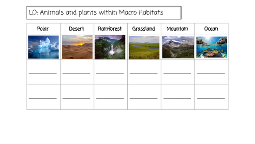 Year 2 Macro Habitats Worksheet