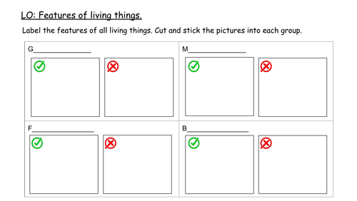 Year 2 Features of Living Things Worksheet