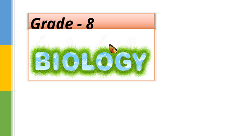 pptx, 4.71 MB