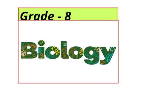 ppt, 893 KB