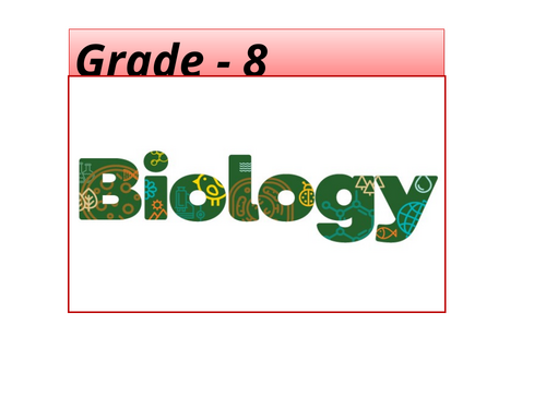 ppt, 743 KB