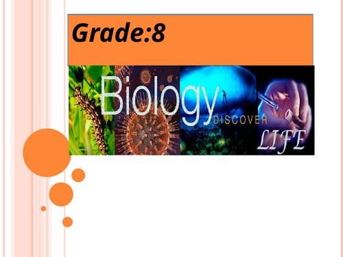 ppt, 3.71 MB