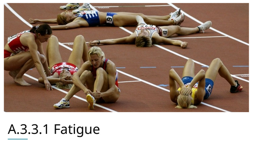 IB SEHS HL A.3.3.1 Fatigue