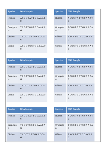 docx, 18.86 KB