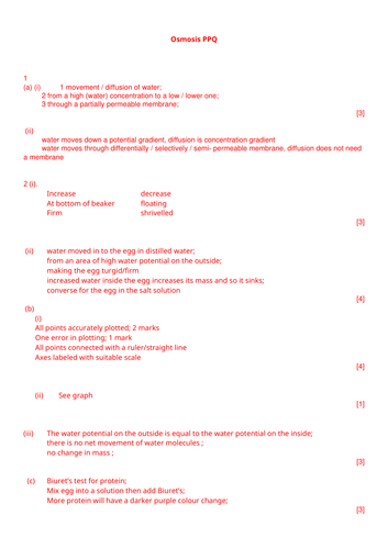 docx, 23.7 KB