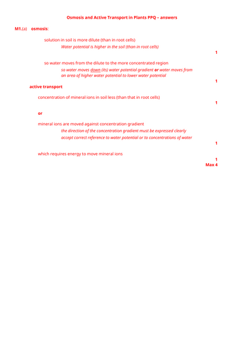 docx, 13.03 KB