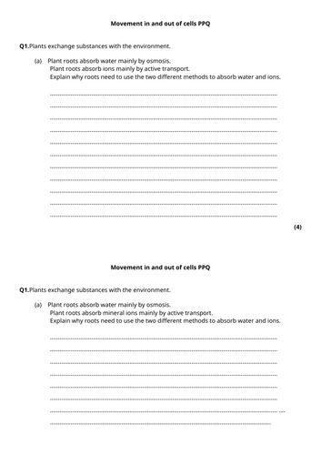 docx, 15.13 KB