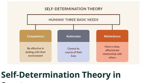 IB SEHS HL C.3.2.3 Self-Determination Theory