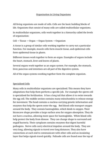 docx, 14.48 KB