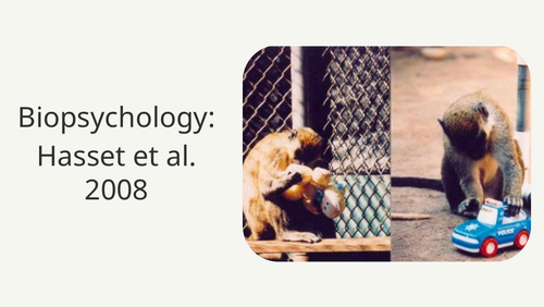 pptx, 6.81 MB