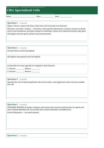 docx, 9.95 KB