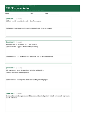 docx, 9.58 KB