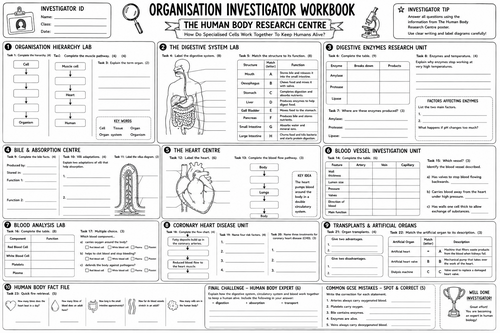 AQA GCSE Biology Topic 2 Organisation Revision Pack | Knowledge Poster ...