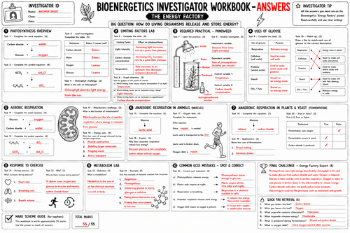 AQA GCSE Biology Topic 4 Bioenergetics Revision Pack | Knowledge Poster ...