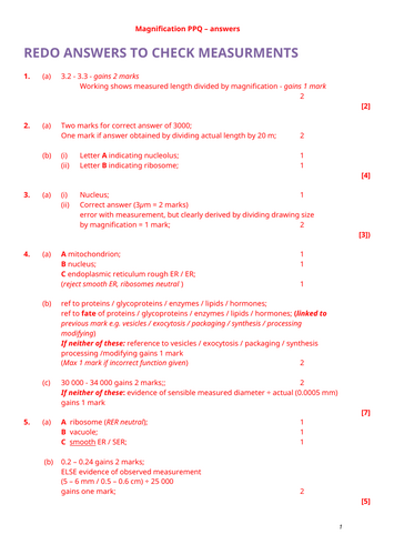 docx, 19.65 KB
