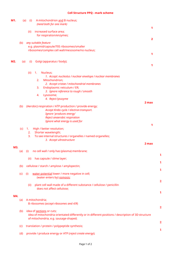 docx, 19.25 KB