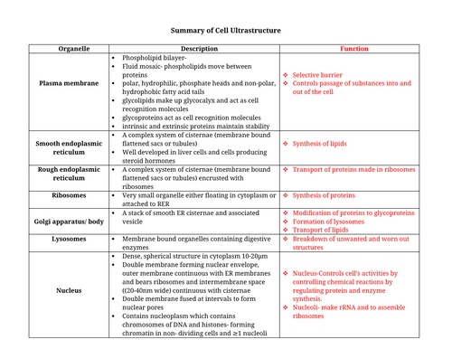 docx, 20.09 KB