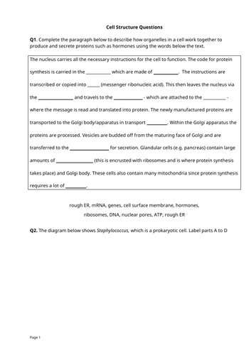 docx, 672.92 KB