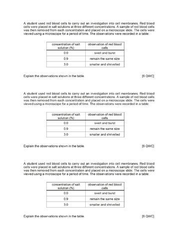 docx, 56.46 KB