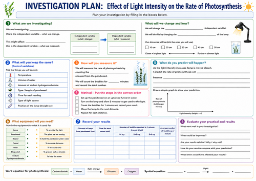 Photosynthesis Practical Activities: AQA GCSE Biology Foundation: KS3 ...