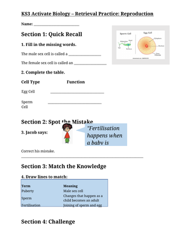 KS3 Activate Biology – Retrieval Practice: Reproduction with answers ...