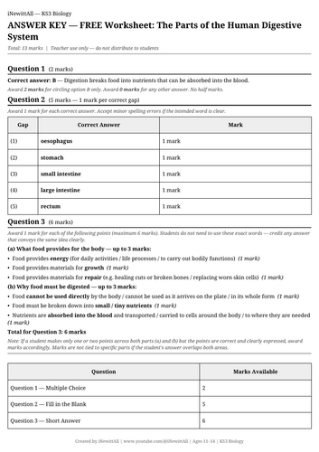 docx, 10.24 KB