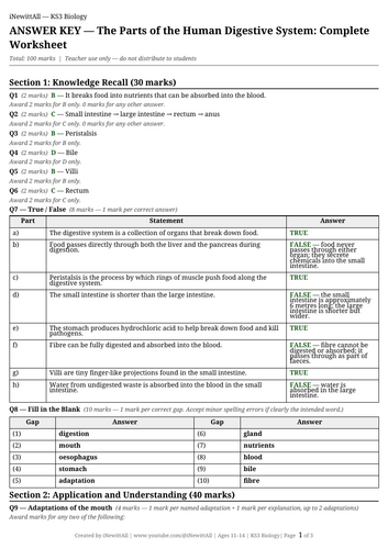 docx, 16.52 KB
