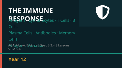 L3 specific immune response (AQA A-level biology)