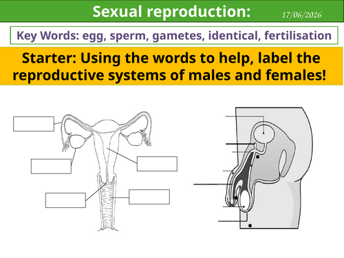 Sexual reproduction - KS3