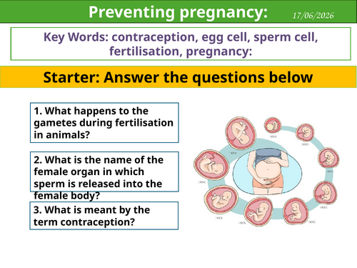 Preventing pregnancy - KS3