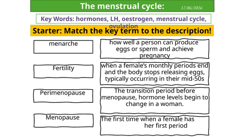 The menstrual cycle - KS3
